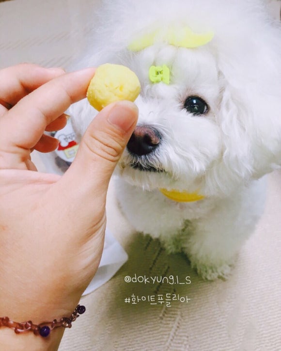 리아상점 이미지