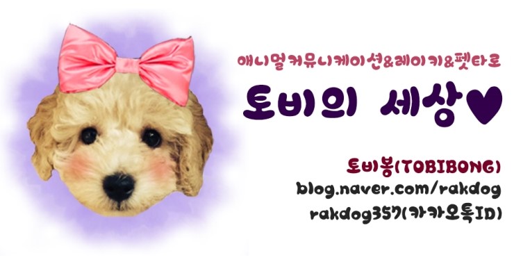 우애좋은현재둘 이미지