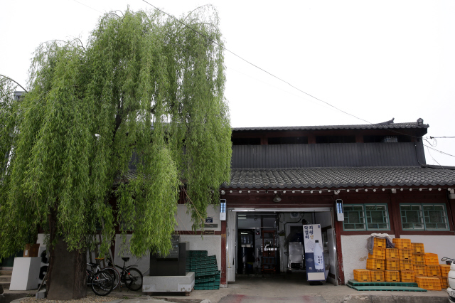 지평보리밥집 이미지