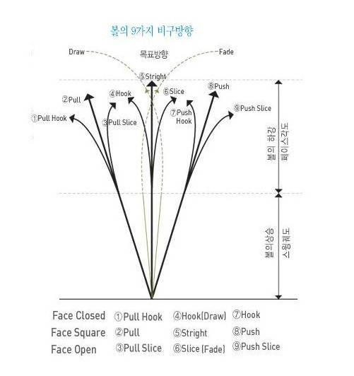 골프신지환 이미지