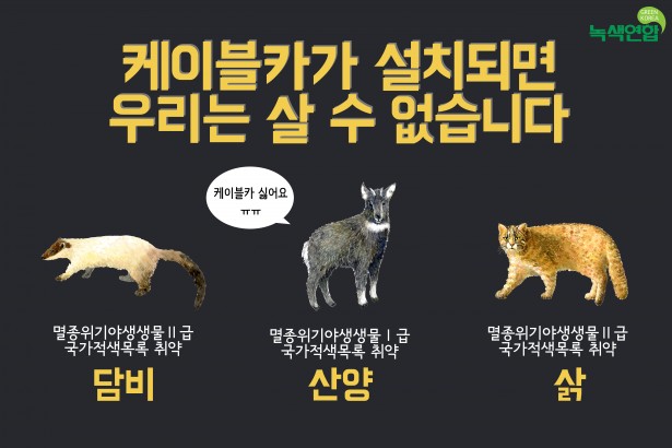 에코나라 이미지