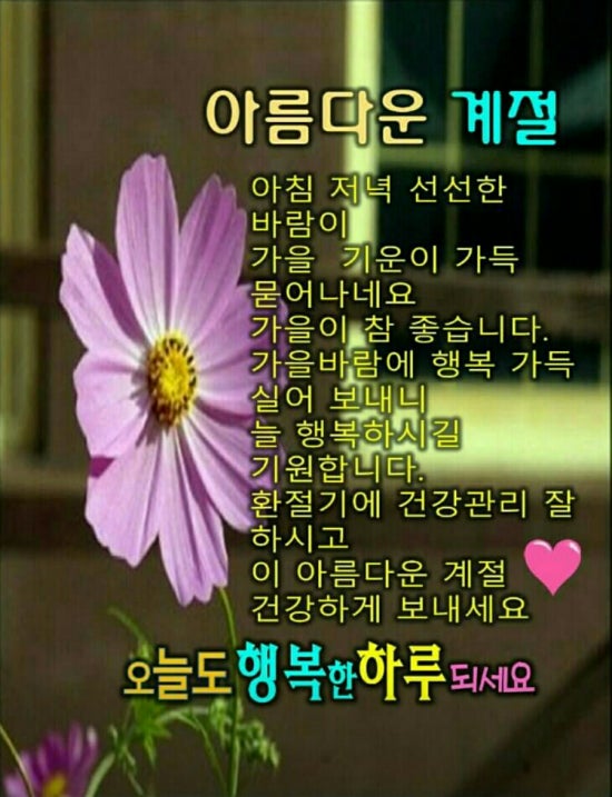 창원봉림고등학교 이미지