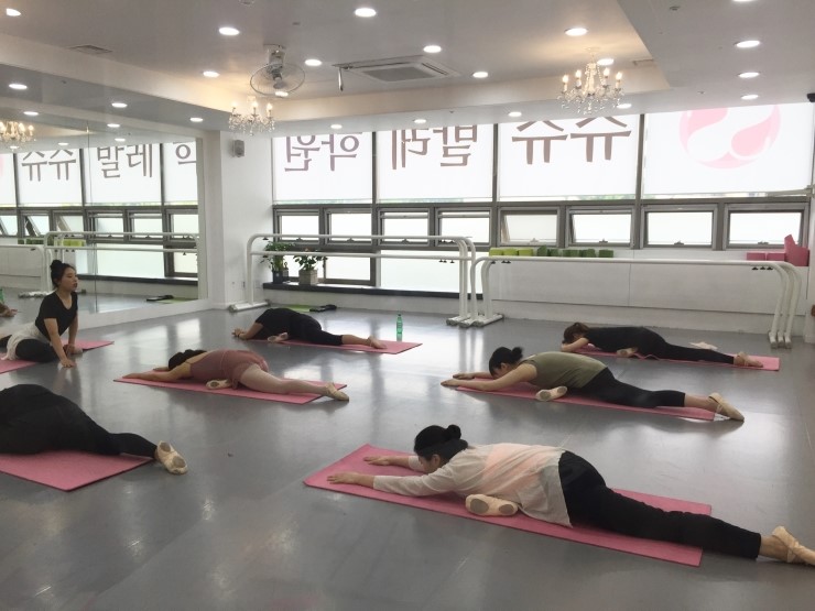 슈슈발레학원 이미지