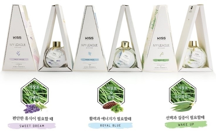아이비에너지 이미지
