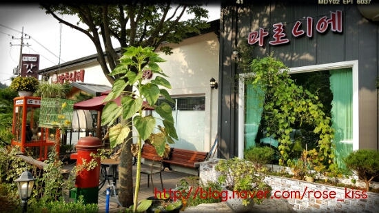 마로니에커피숍 이미지