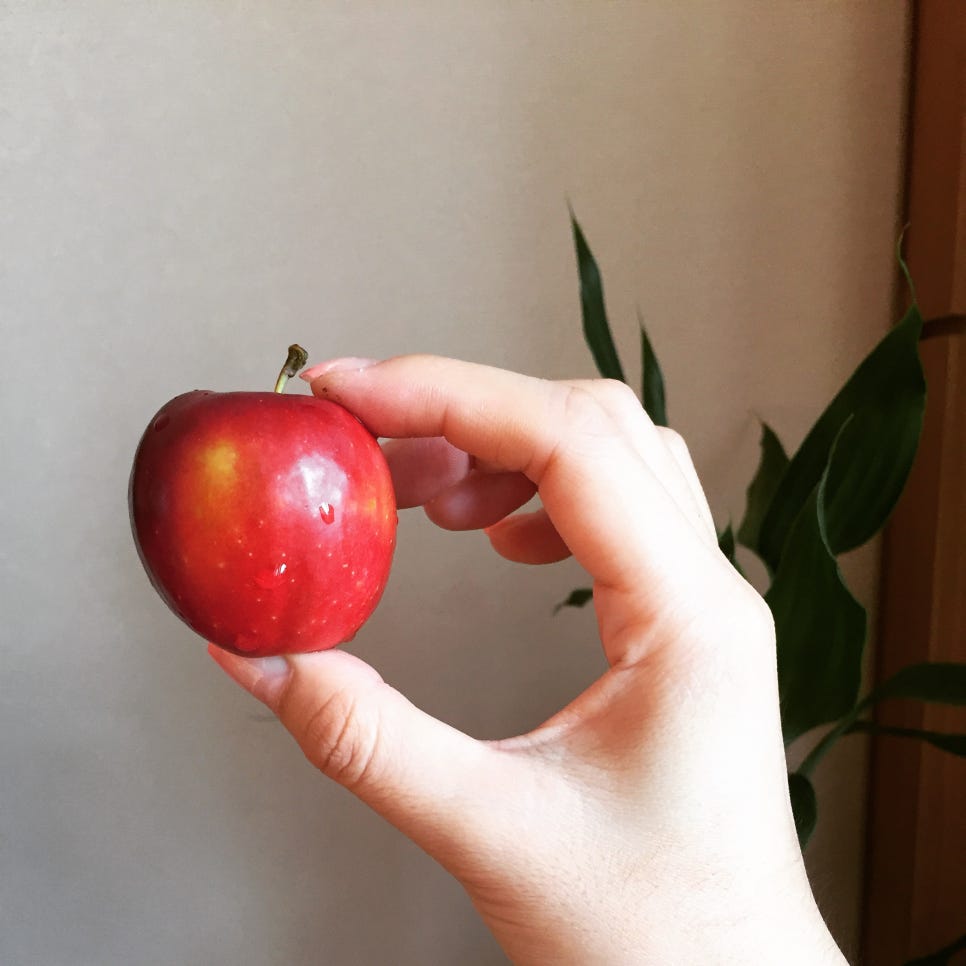 이촌참숯구이 이미지