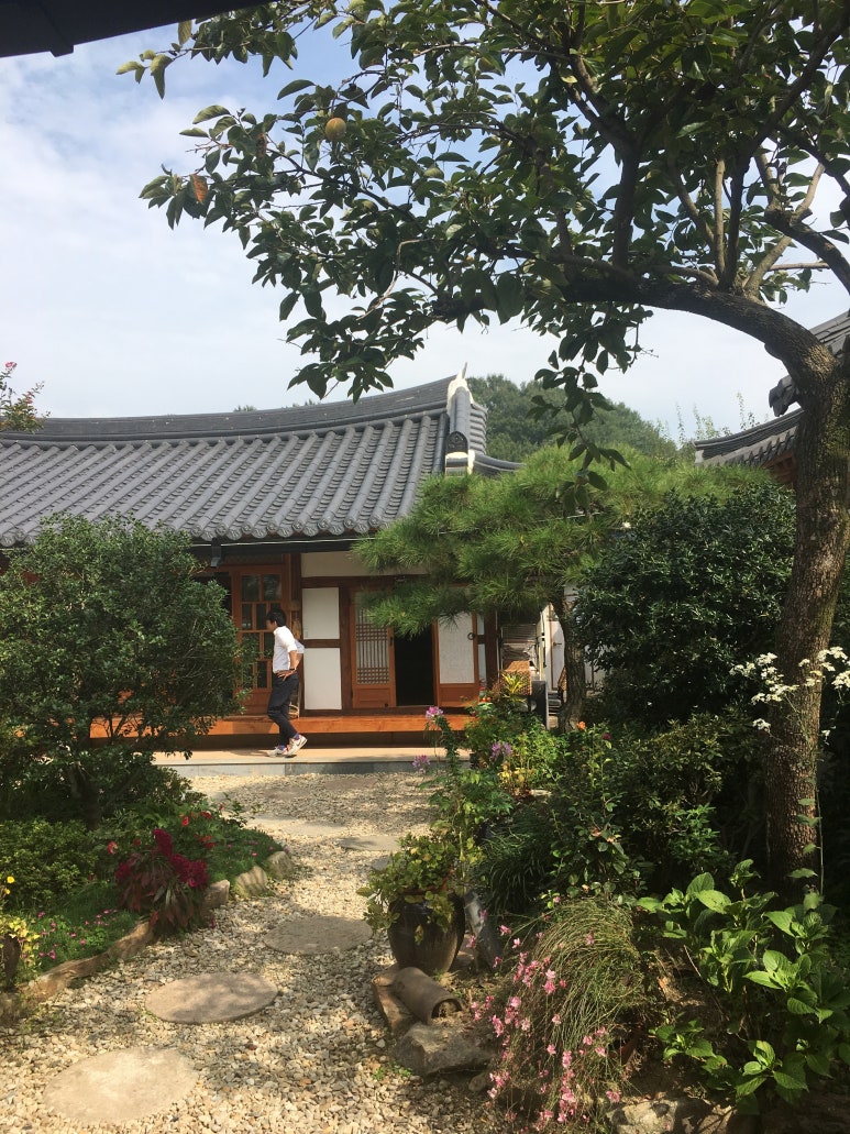 마당예쁜집 이미지