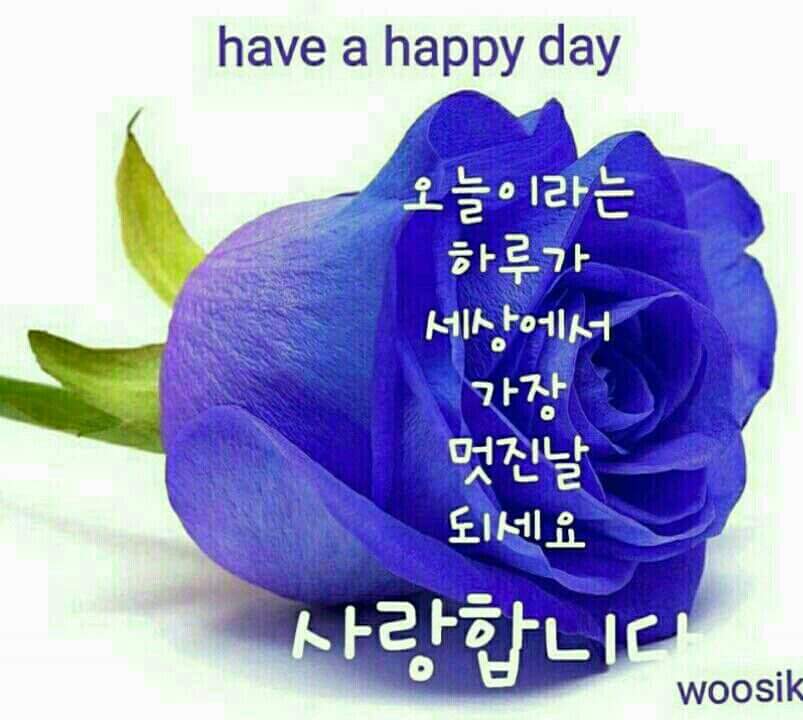 (주)보람여행사 이미지