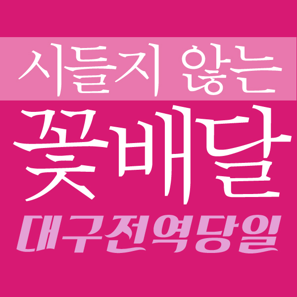 대구꽃배달서비스 이미지