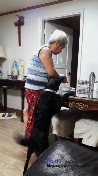 참즐거운옷가게 이미지