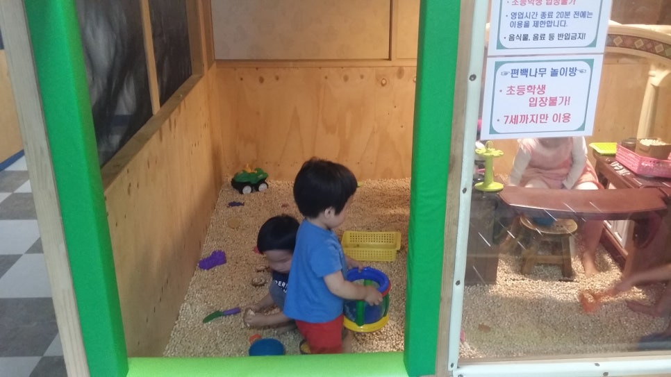 키크는 나무 이미지
