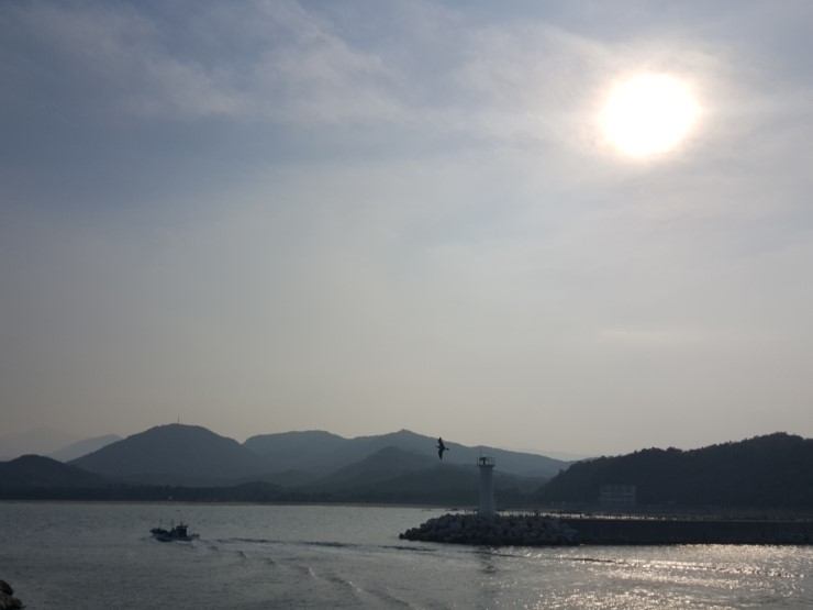 백상어다이빙 리조트 이미지