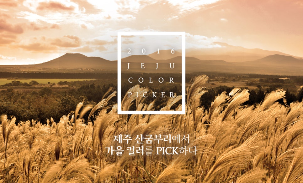 이니스프리신 이미지