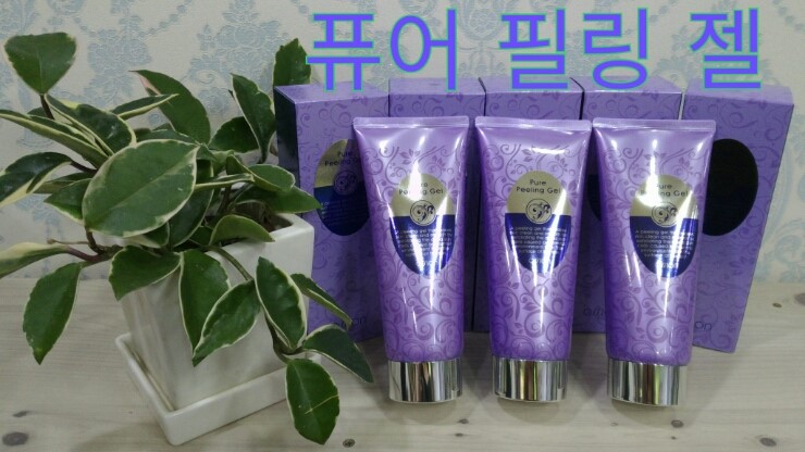 쥬단학 이미지