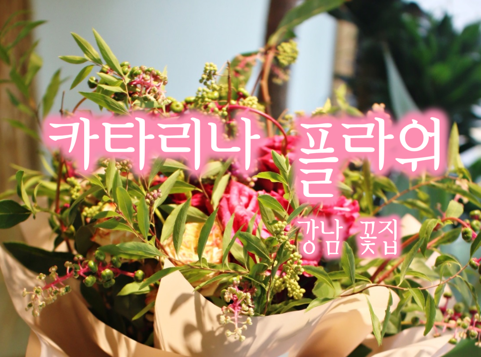 카타리나플라워 이미지