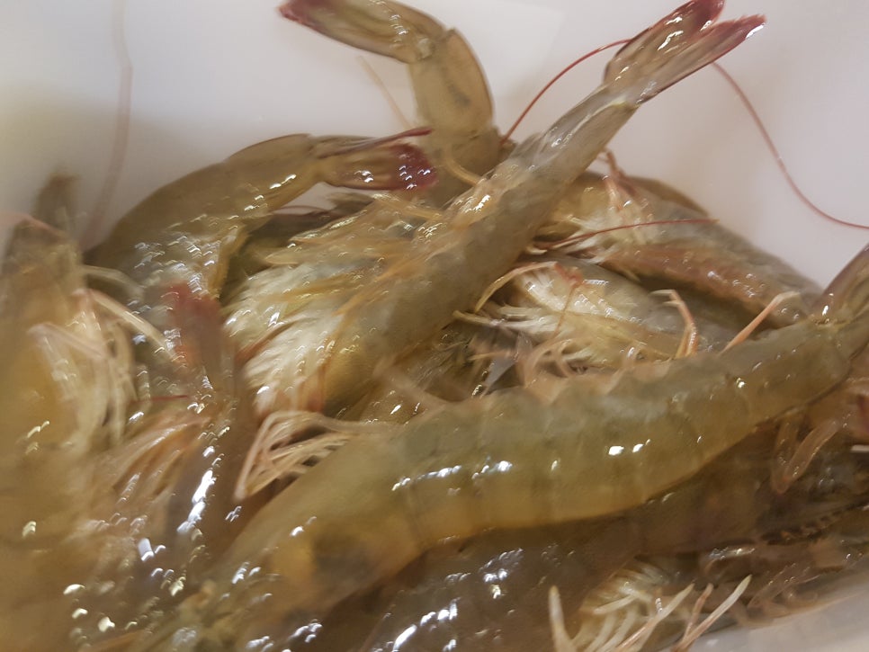 맛짱왕새우 이미지
