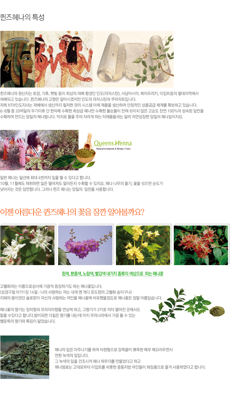 퀸즈헤나 이미지