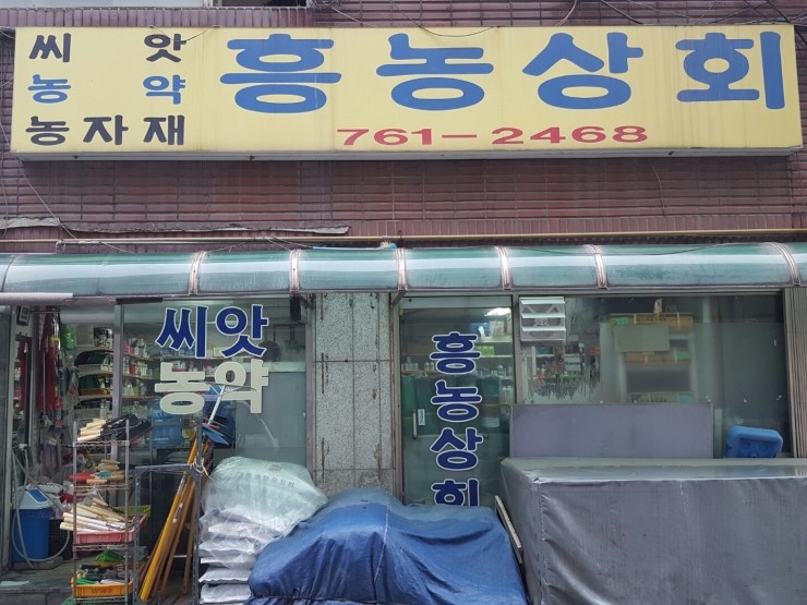흥농농약종묘 이미지