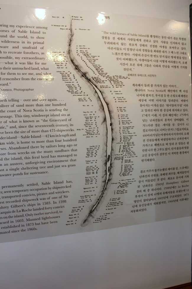데이스프링아트그룹 이미지