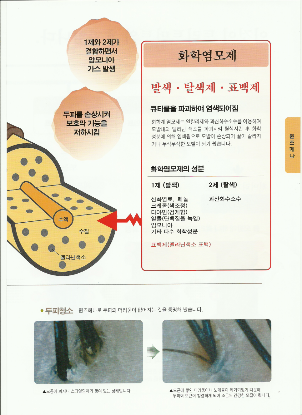 퀸즈헤나 두피 이미지