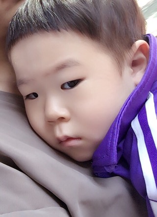 정훈이불 이미지