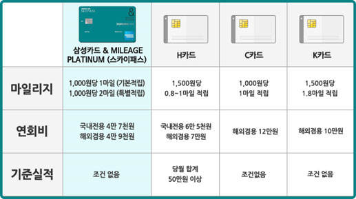 스카이플래티늄항공 이미지
