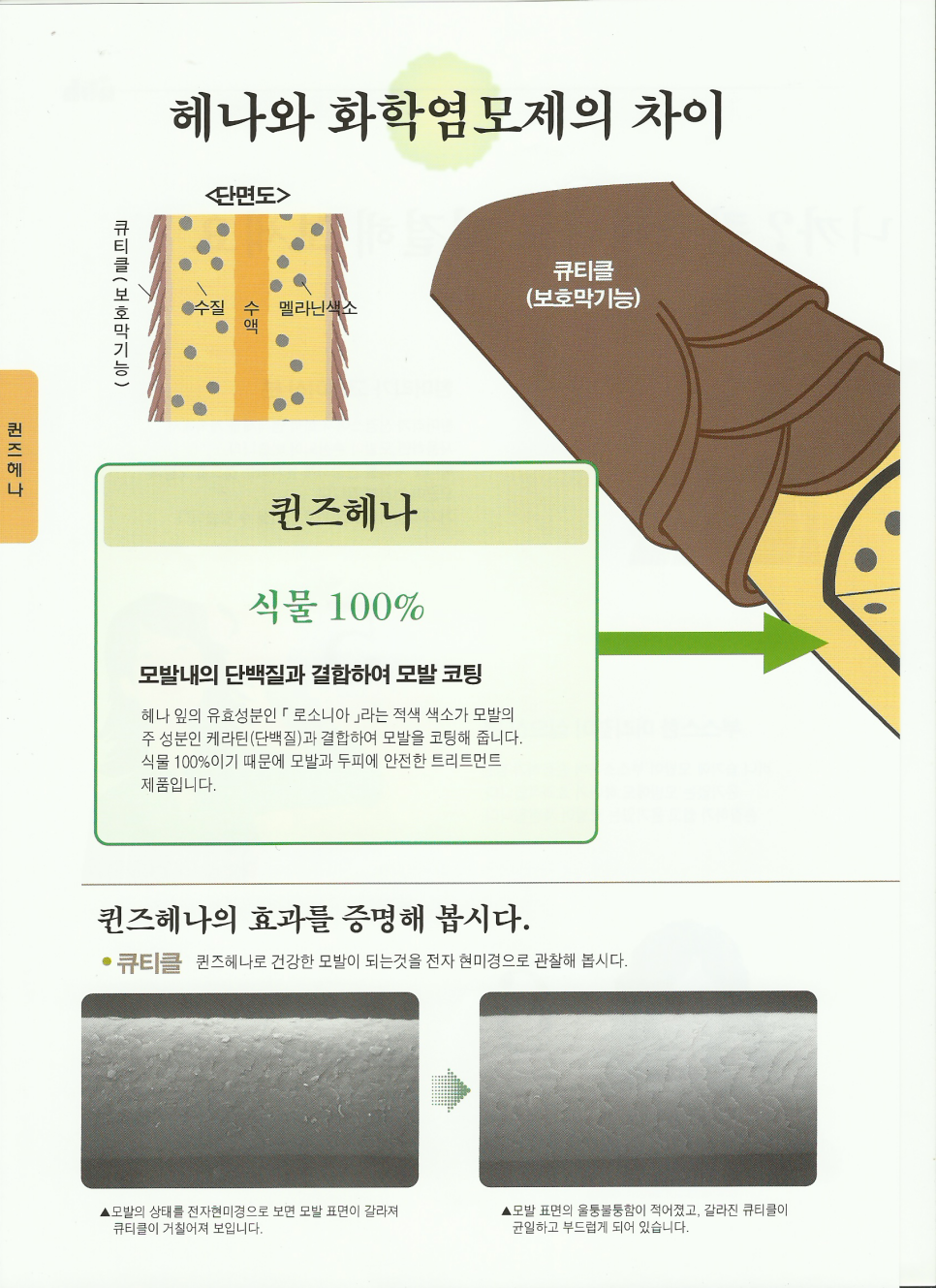 퀸즈헤나 이미지