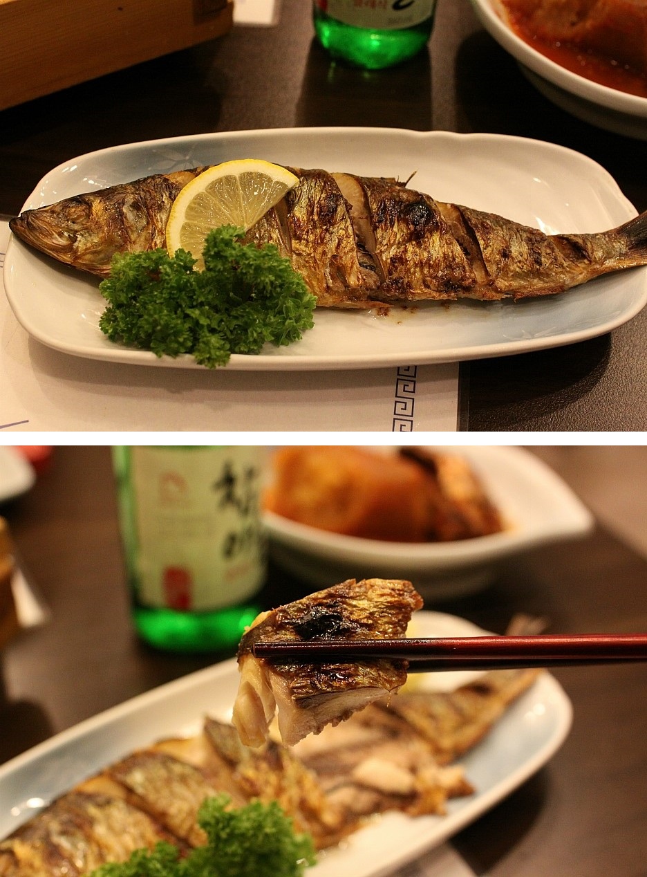 참치광 이미지