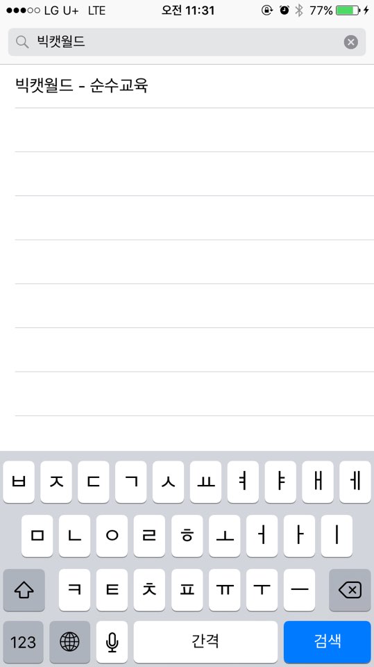 빅빅캣 이미지