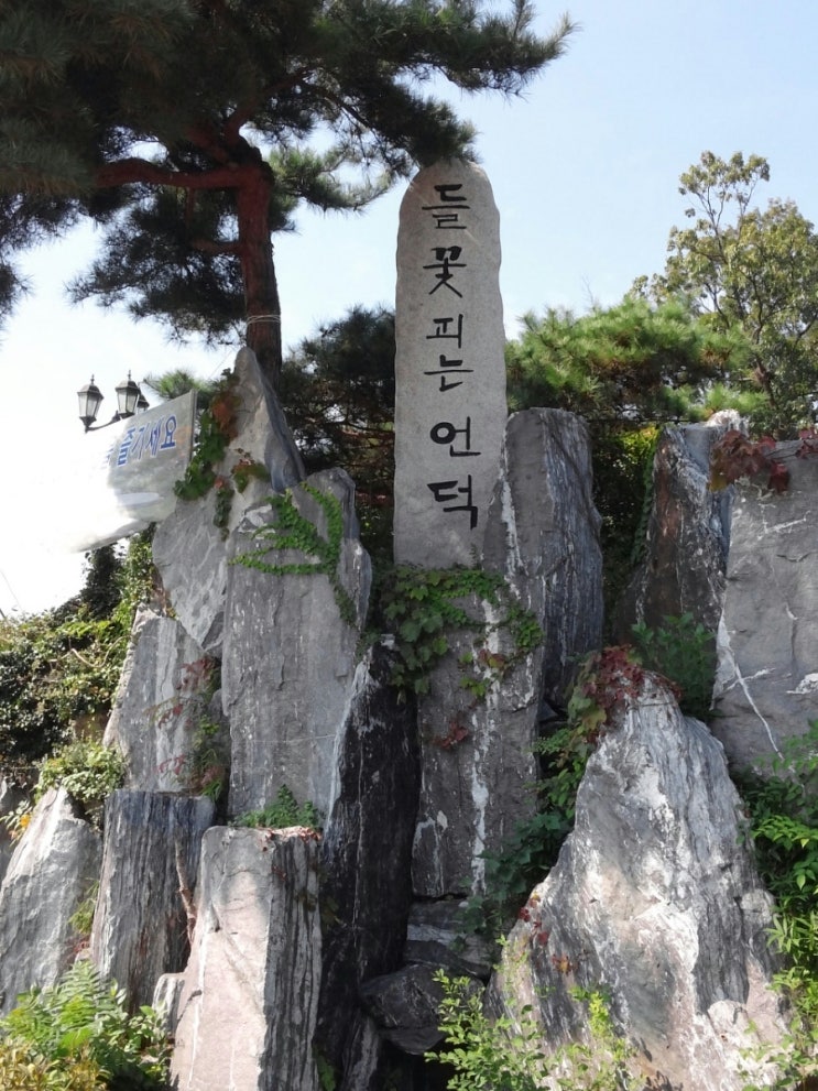들꽃피는언덕 이미지