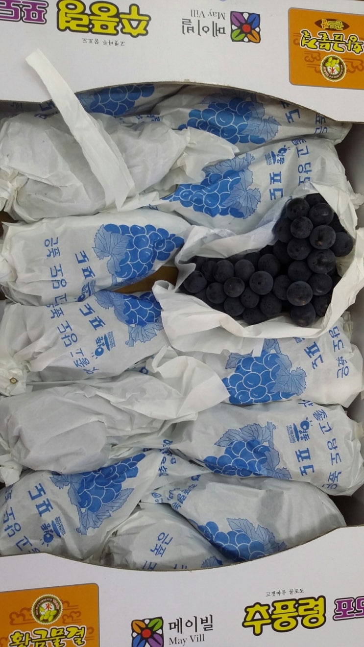 통통과일 이미지