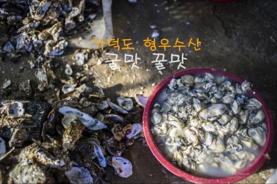 가덕도수산 이미지