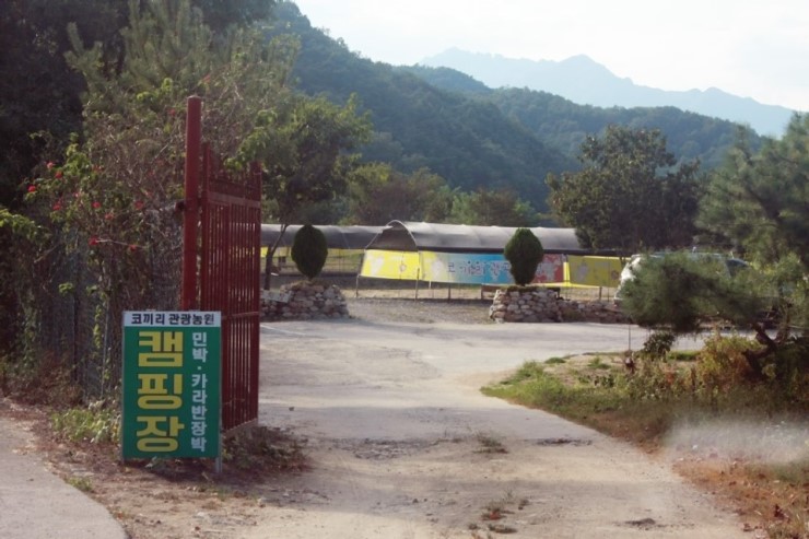 코끼리 관광농원 이미지