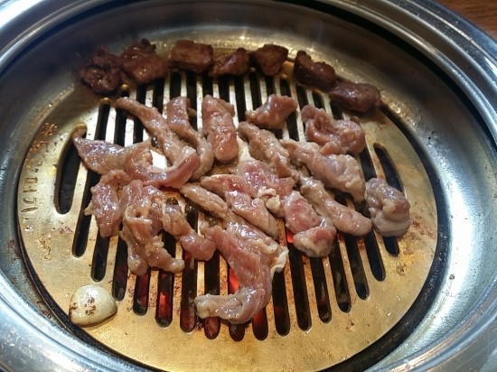 송도갈매기 이미지