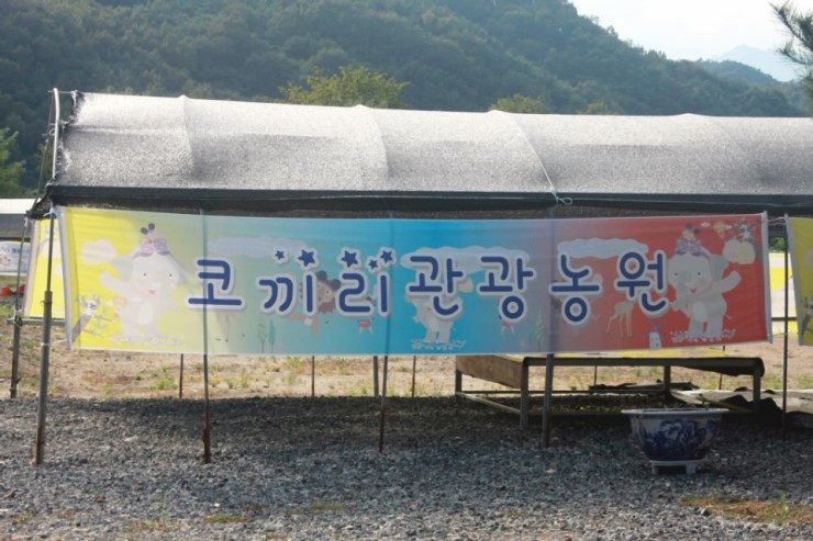 코끼리 관광농원 이미지