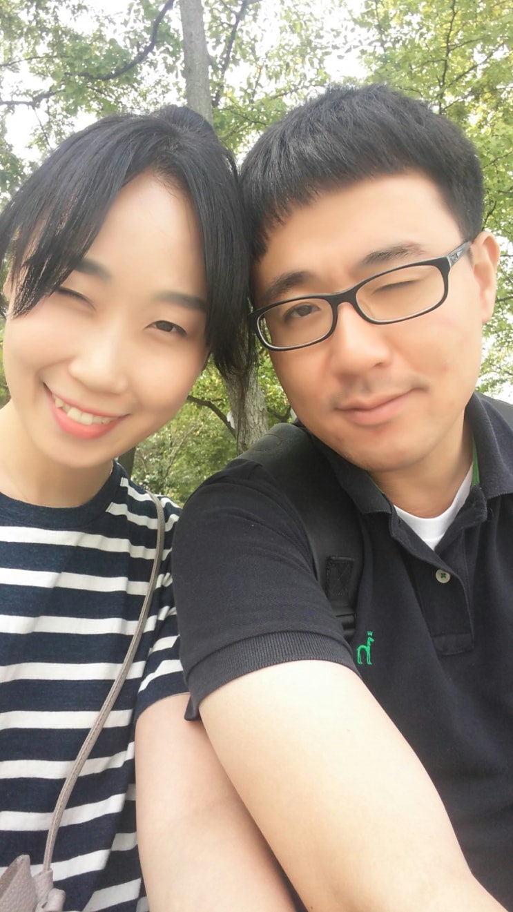 다반트 이미지