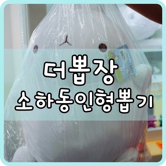 더뽑기뽑기 이미지