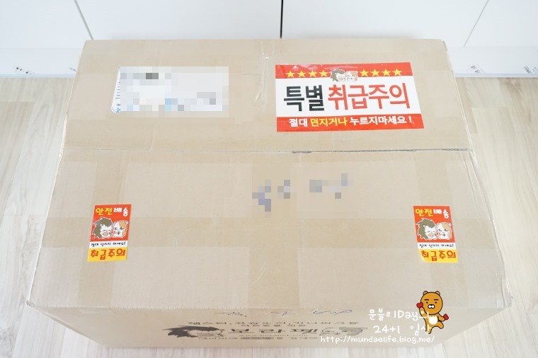 보라펫 이미지
