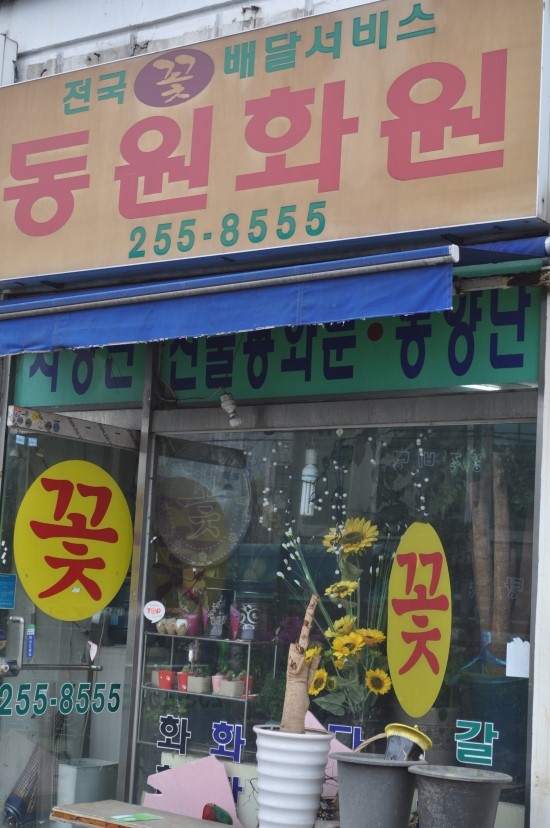 동원화원 이미지