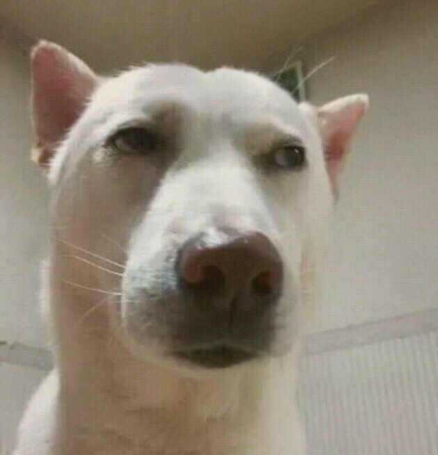 두꺼비 한우정육식당 이미지