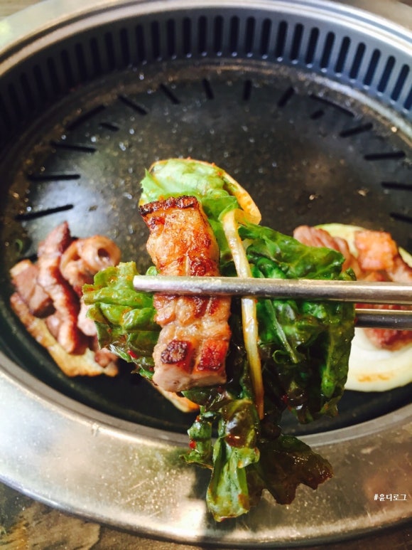 소야돼지야 이미지