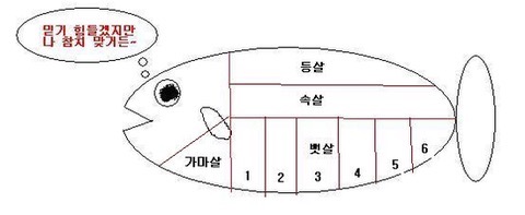 장보고참치 이미지