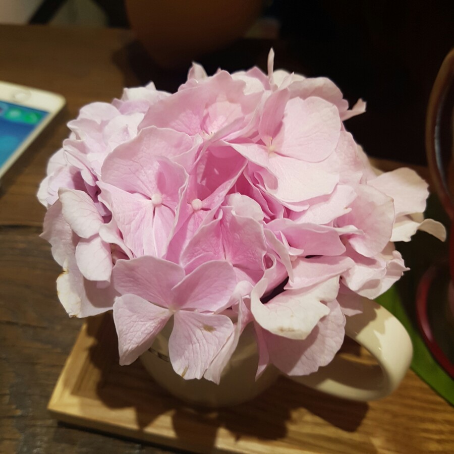 카페러빈 이미지