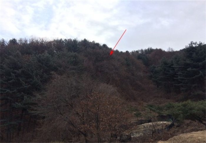 가평군-36 이미지