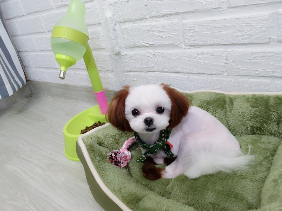 모모네일 이미지