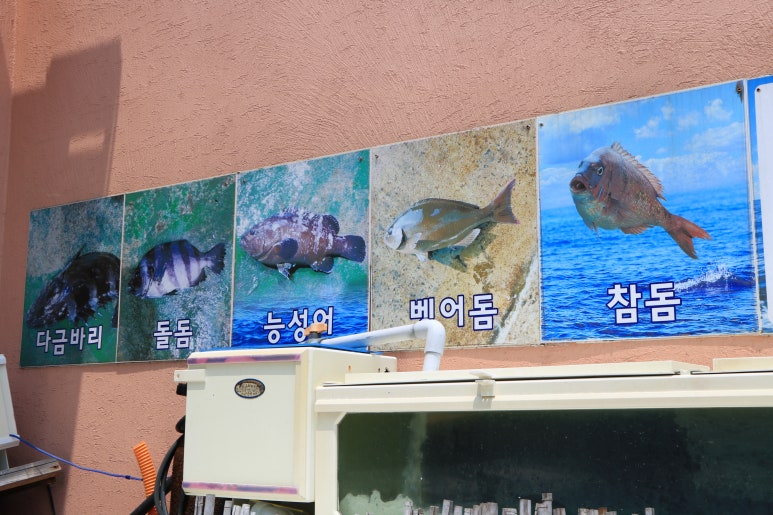 바다여행횟집 이미지