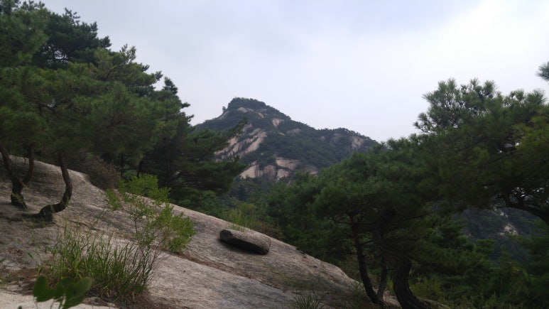 인왕중학교 이미지