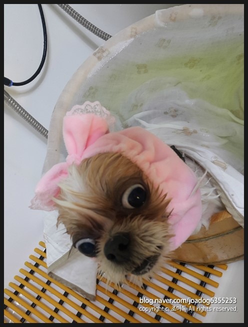 하태PC 이미지