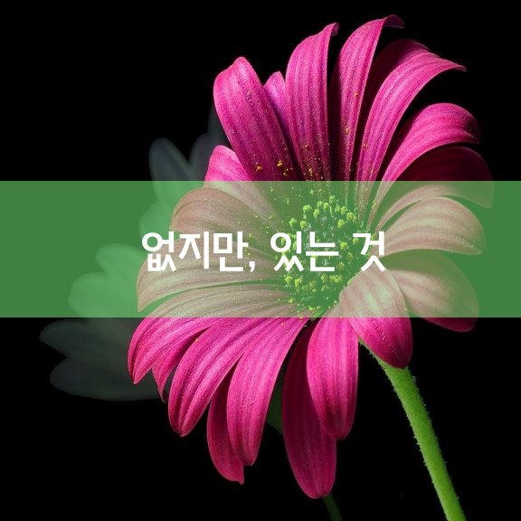 스토리매직 이미지