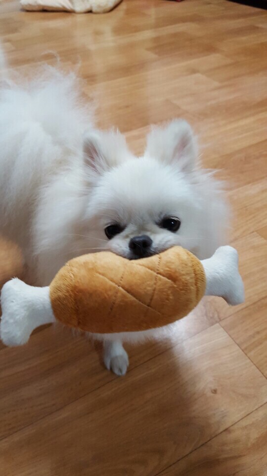 정항우케익커피 이미지